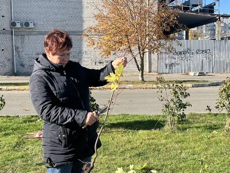 У Херсоні комунальники відновлюють Таврійський парк: висаджують нові дерева замість згорілих