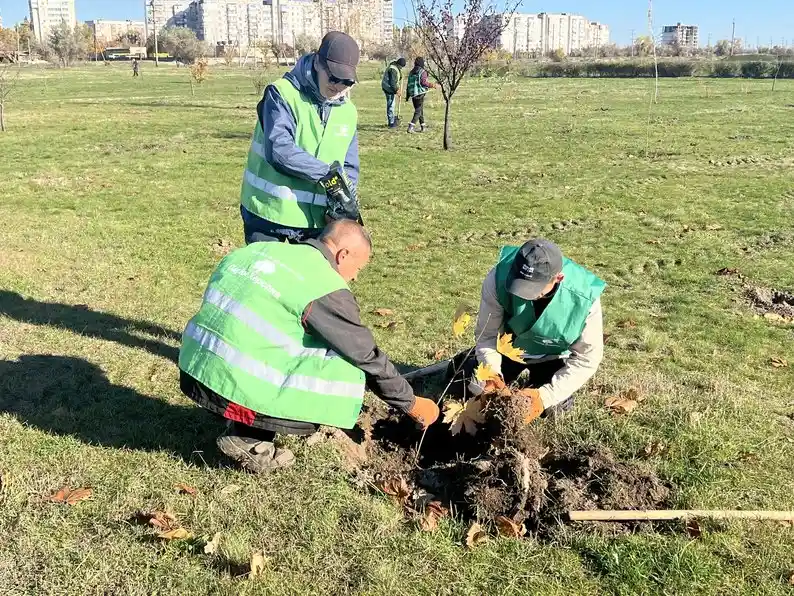 У Херсоні комунальники відновлюють Таврійський парк: висаджують нові дерева замість згорілих