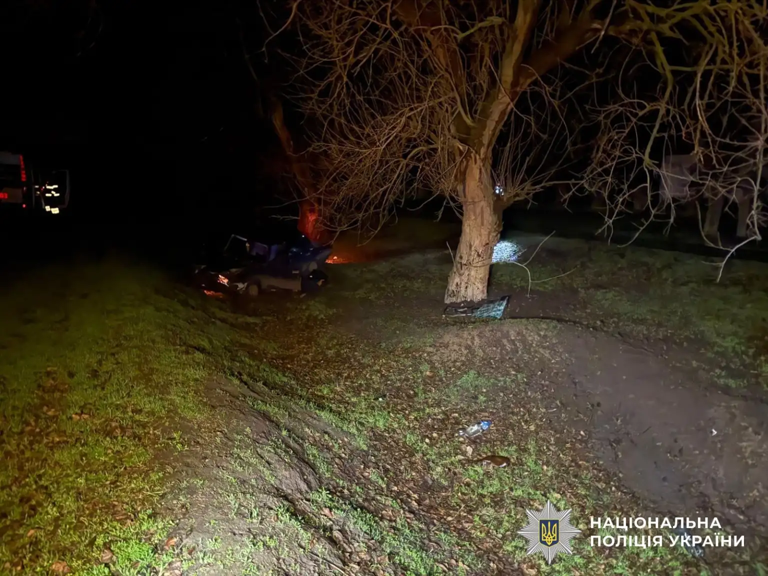 Смертельна аварія у Нововоронцовці: поліція з’ясовує деталі загибелі водія