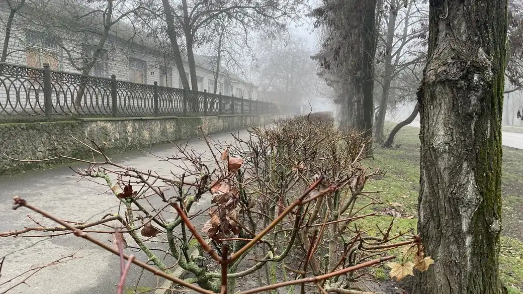 Війна крізь призму довкілля: у Батумі показали документальне розслідування про Херсон