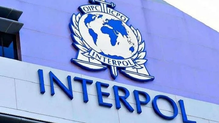 Україна отримала прямий доступ до бази INTERPOL для внесення даних про викрадені культурні цінності