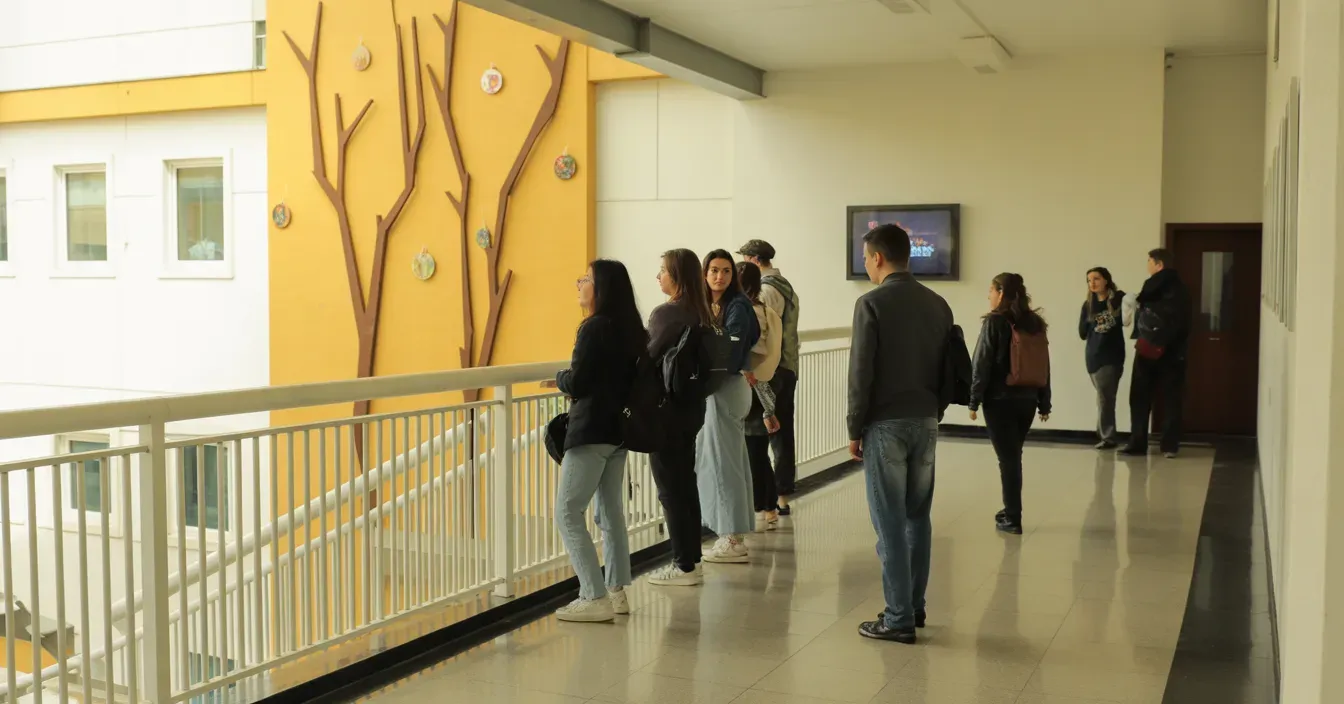 Обучение в Чехии после 9 и 11 классов: программы подготовки от Prague Education Center