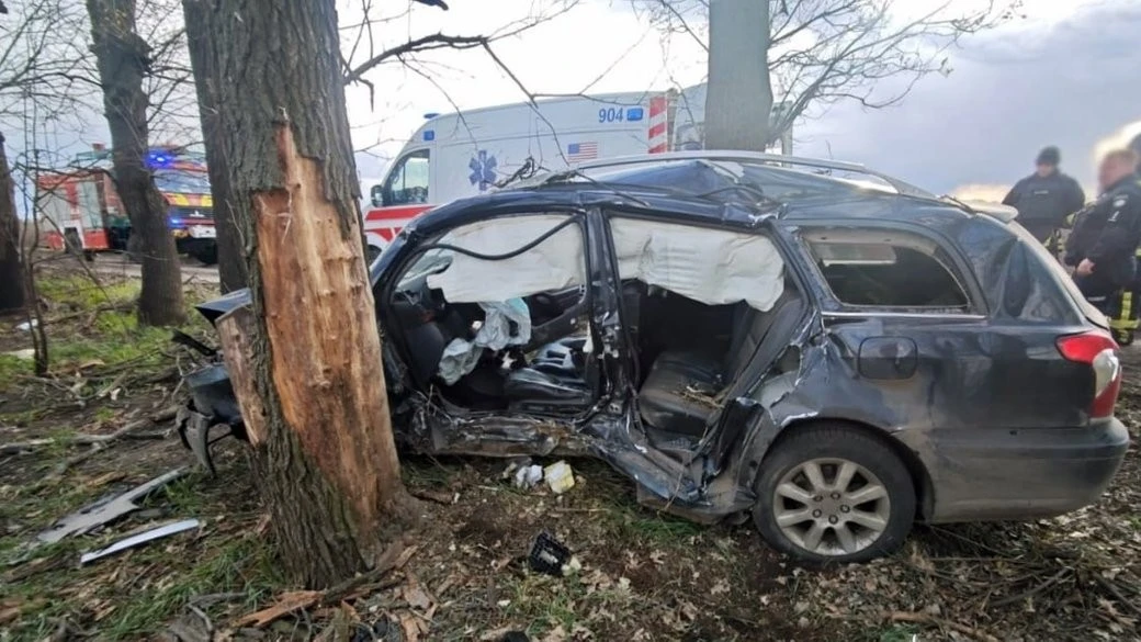 Трагедія на польовій дорозі: на Херсонщині Toyota врізалася в дерево