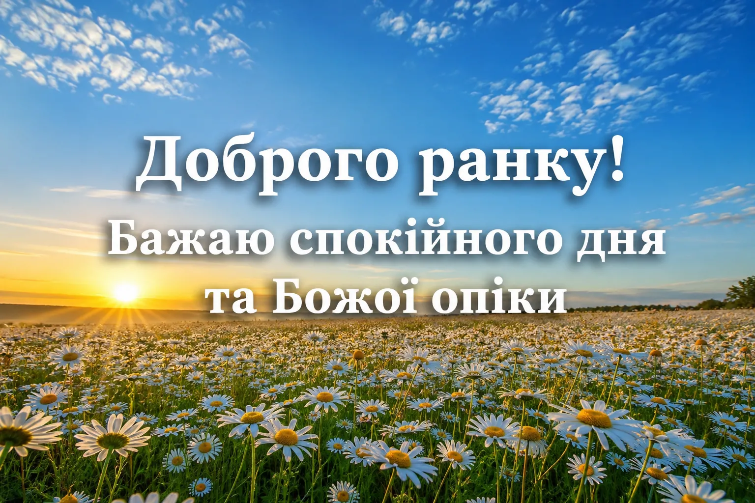 Доброго ранку, ромашки: душевні привітання та красиві картинки для гарного настрою