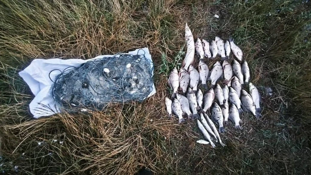 Понад 250 тисяч гривень збитків: браконьєрів упіймали у заповідному нацпарку на Херсонщині